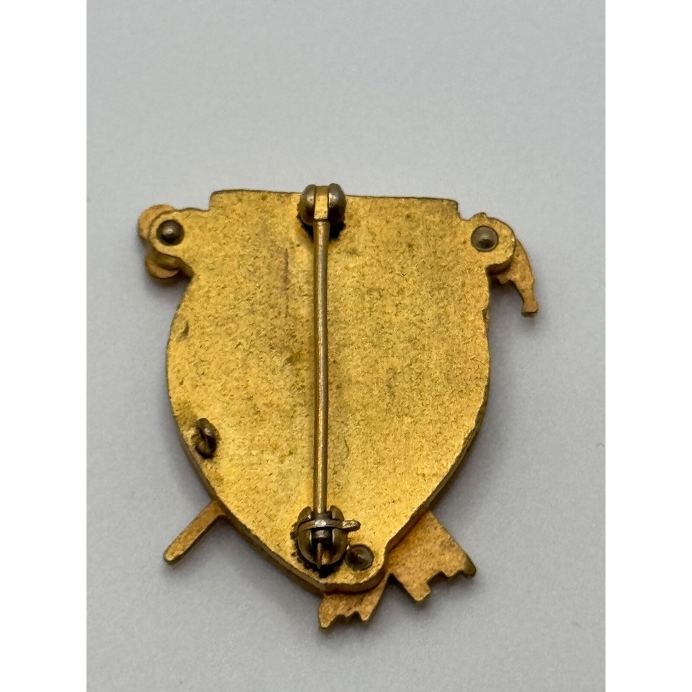 Vintage Fraternity School Opera Scientia Auctus Pulchrituoo Enamel Brooch Pin - Picture 7 of 8